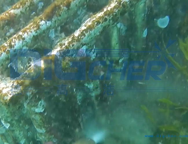 水下養(yǎng)殖網(wǎng)箱清洗技術